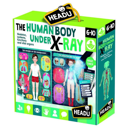 Picture of HEADU THE HUMAN BODY UNDER X-RAY